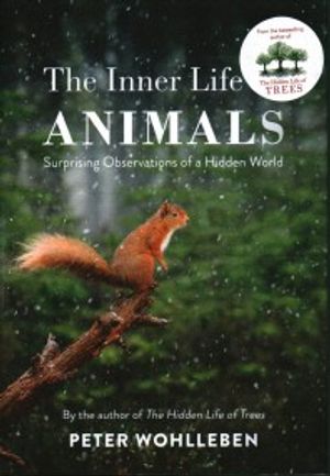 Inner Life of Animals