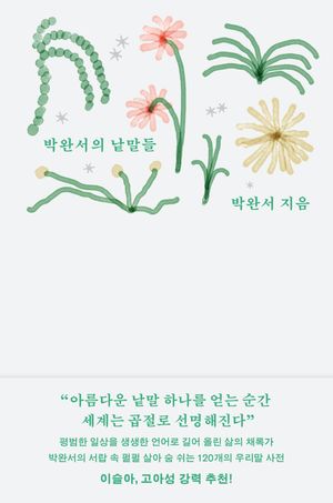 박완서의 낱말들