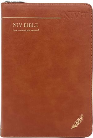 [브라운] NIV BIBLE - 중(中).단본.색인