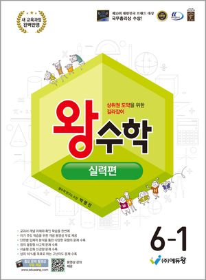 왕수학 실력편 6-1 (2026년)