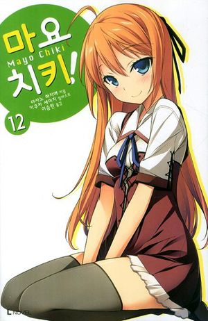 마요치키. 12(완결)