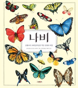 [국내도서] 나비