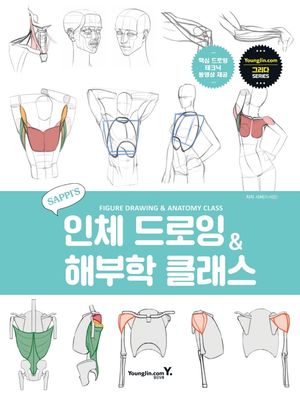 [국내도서] 새삐의 인체 드로잉 & 해부학 클래스
