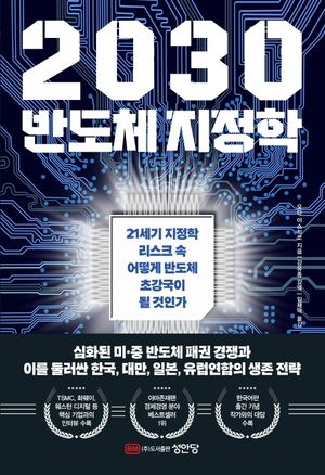 2030 반도체 지정학
