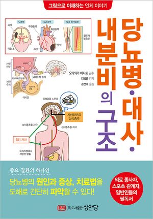 당뇨병 대사 내분비의 구조