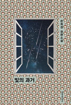 빛의 과거(큰글자도서)