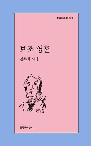 [국내도서] 보조 영혼
