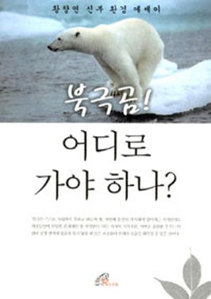 북극곰 어디로 가야 하나