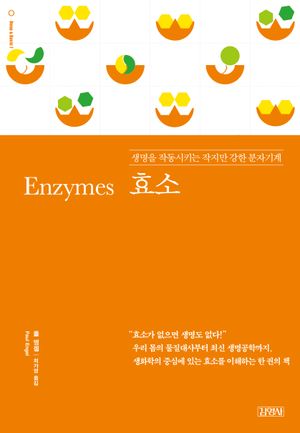 [국내도서] 효소