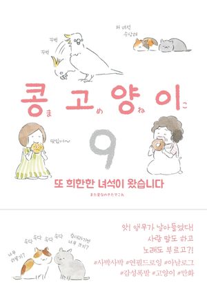 [국내도서] 콩고양이 9