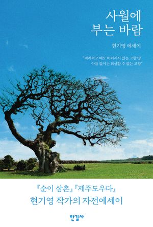 사월에 부는 바람