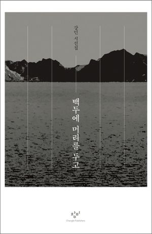 [국내도서] 백두에 머리를 두고
