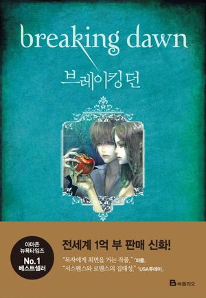 브레이킹 던
