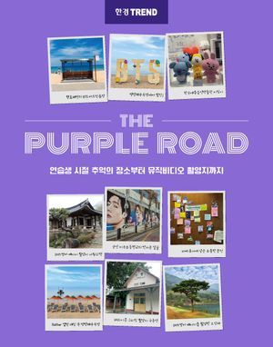 [국내도서] 한경트렌드 더 퍼플 로드(The Purple Road)