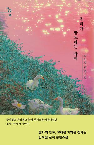 [국내도서] 우리가 안도하는 사이