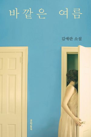 [국내도서] 바깥은 여름