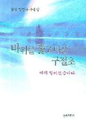 [국내도서] 바위를 뚫고 나온 구절초