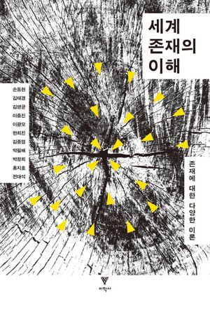 [국내도서] 세계 존재의 이해