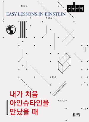 내가 처음 아인슈타인을 만났을 때(큰글자도서)