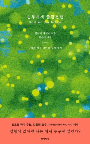 [국내도서] 눈부시게 불완전한