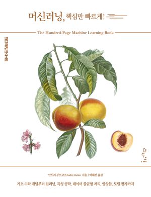 머신러닝, 핵심만 빠르게!