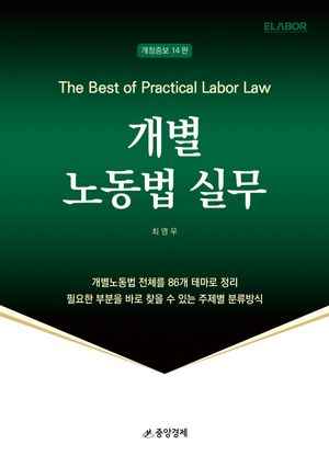 [국내도서] 개별 노동법 실무