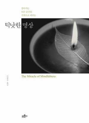[국내도서] 틱낫한 명상