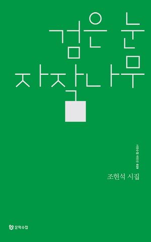 [국내도서] 검은 눈 자작나무