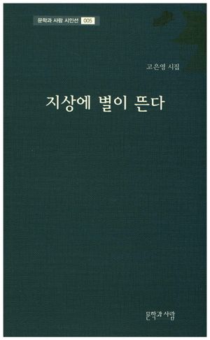 [국내도서] 지상에 별이 뜬다
