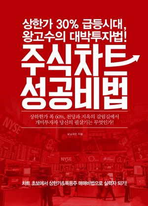 주식차트 성공비법
