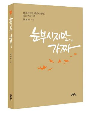 [국내도서] 눈부시지만 가짜