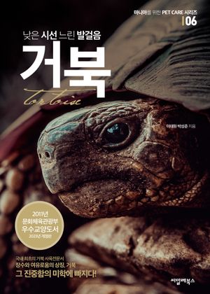 낮은 시선 느린 발걸음, 거북