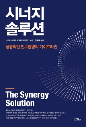 [국내도서] 시너지 솔루션
