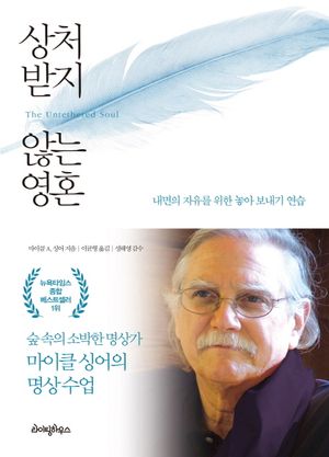[국내도서] 상처 받지 않는 영혼