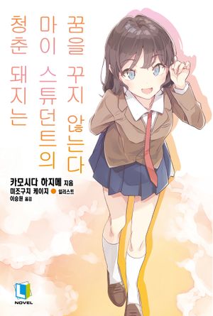 [국내도서] 청춘 돼지는 마이 스튜던트의 꿈을 꾸지 않는다 12