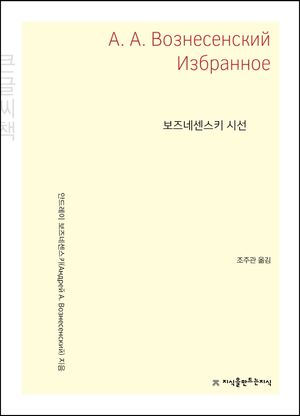 보즈네센스키 시선(큰글씨책)
