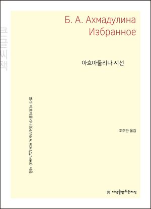 아흐마둘리나 시선(큰글씨책)