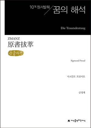 원서발췌 꿈의 해석(큰글자책)