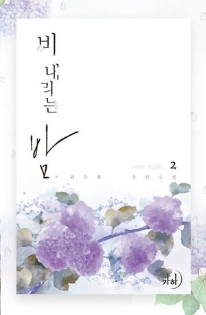 비 내리는 밤 2
