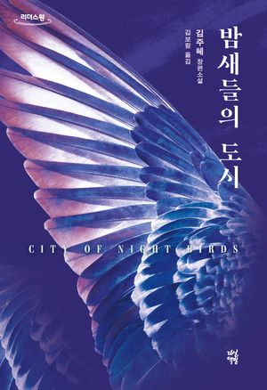 밤새들의 도시(큰글자도서)