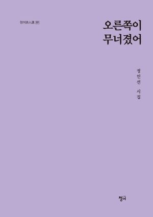 [국내도서] 오른쪽이 무너졌어