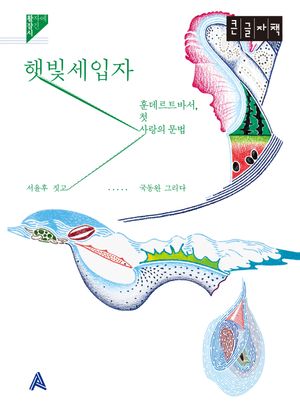햇빛세입자(큰글자책)