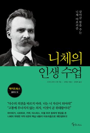 니체의 인생 수업(큰글자도서)