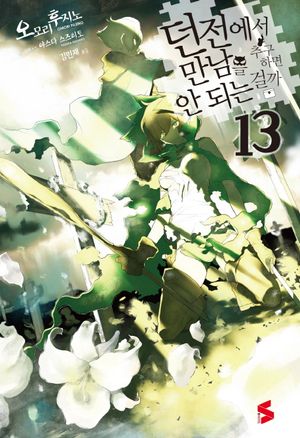 던전에서 만남을 추구하면 안 되는 걸까 13