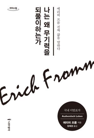 나는 왜 무기력을 되풀이하는가(큰글자도서)