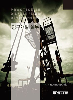 [국내도서] 광구개발 실무