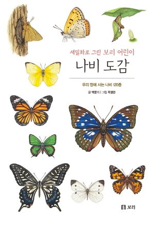 [국내도서] 나비 도감(보급판)