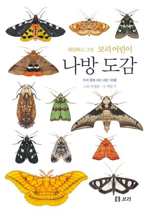 [국내도서] 세밀화로 그린 보리 어린이 나방 도감