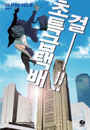 [국내도서] 초특급택배 걸!!