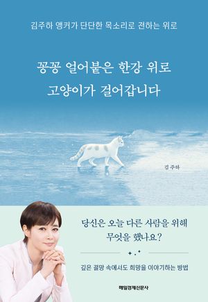 꽁꽁 얼어붙은 한강 위로 고양이가 걸어갑니다